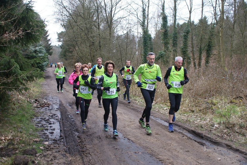 Bosloop Brecht - 27